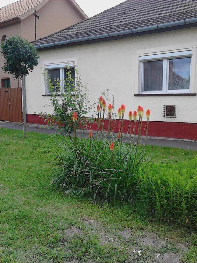 Toth Maganszallas Hajduszoboszlo Lägenhet Exteriör bild